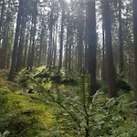 Schwarzatalblick In Ortsteil Boehlscheiben Tatil Evi *
