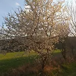Casa vacanze Schwarzatalblick In Ortsteil Boehlscheiben