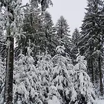 Schwarzatalblick In Ortsteil Boehlscheiben * Bad Blankenburg