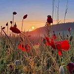 Schwarzatalblick In Ortsteil Boehlscheiben Tatil Evi *