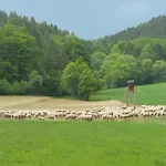 Schwarzatalblick In Ortsteil Boehlscheiben *