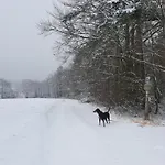 Schwarzatalblick In Ortsteil Boehlscheiben Tatil Evi