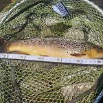 Schwarzatalblick In Ortsteil Boehlscheiben Bad Blankenburg