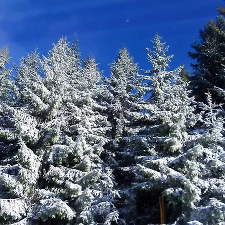 Schwarzatalblick In Ortsteil Boehlscheiben