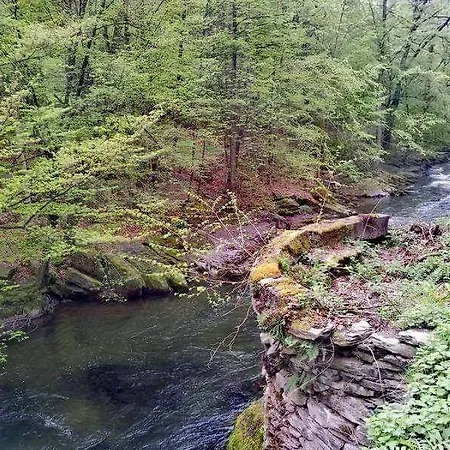 Schwarzatalblick In Ortsteil Boehlscheiben Feriehus *