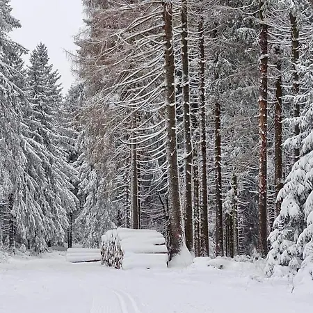 Schwarzatalblick In Ortsteil Boehlscheiben
