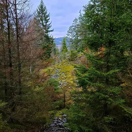 Schwarzatalblick In Ortsteil Boehlscheiben * Бад-Бланкенбург
