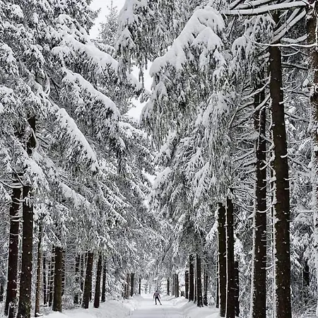 Schwarzatalblick In Ortsteil Böhlscheiben * Bad Blankenburg