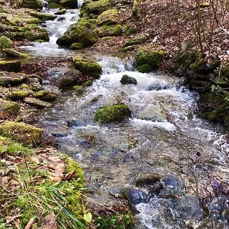 Schwarzatalblick In Ortsteil Boehlscheiben Дом отдыха