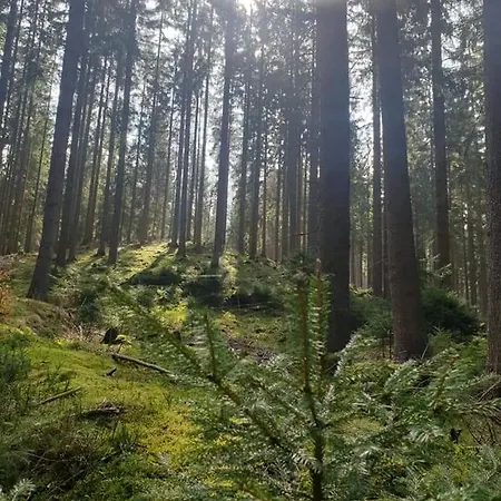 Schwarzatalblick In Ortsteil Boehlscheiben Casa vacanze *