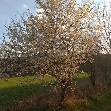 Casa vacanze Schwarzatalblick In Ortsteil Boehlscheiben