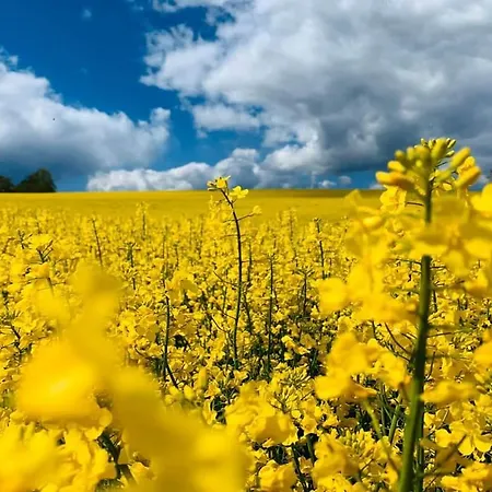 Сasa de vacaciones Schwarzatalblick In Ortsteil Boehlscheiben Bad Blankenburg
