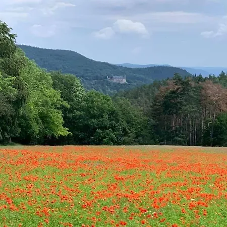 Schwarzatalblick In Ortsteil Boehlscheiben Holiday home