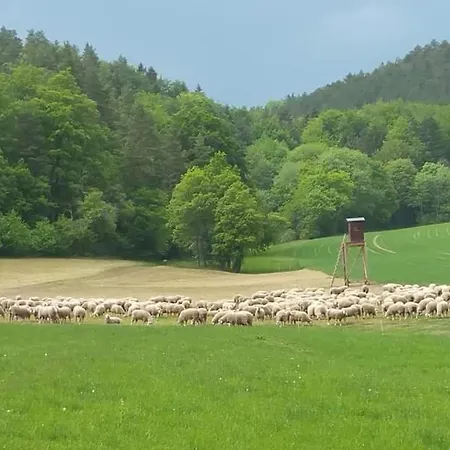 Schwarzatalblick In Ortsteil Boehlscheiben *