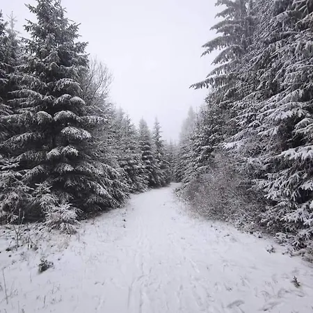 Schwarzatalblick In Ortsteil Boehlscheiben Feriehus *