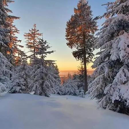 Schwarzatalblick In Ortsteil Boehlscheiben Holiday home