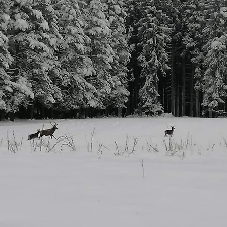 Schwarzatalblick In Ortsteil Boehlscheiben Бад-Бланкенбург