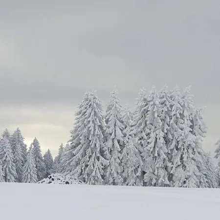 Дом отдыха Schwarzatalblick In Ortsteil Boehlscheiben *