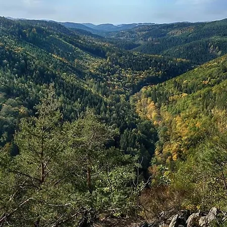 Schwarzatalblick In Ortsteil Boehlscheiben Feriehus *