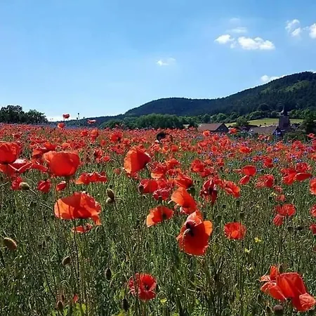 Schwarzatalblick In Ortsteil Böhlscheiben Ferienhaus *