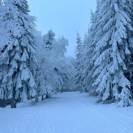 Schwarzatalblick In Ortsteil Böhlscheiben Ferienhaus *