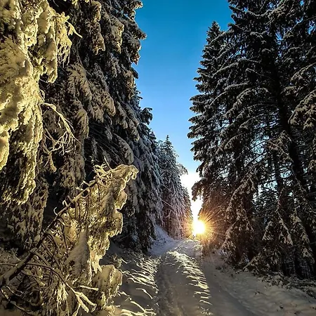 Schwarzatalblick In Ortsteil Böhlscheiben *