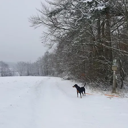Schwarzatalblick In Ortsteil Boehlscheiben Feriehus