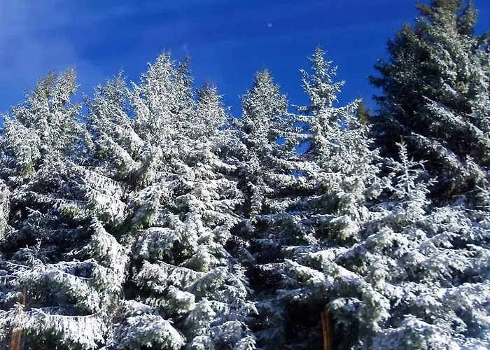 Schwarzatalblick In Ortsteil Boehlscheiben