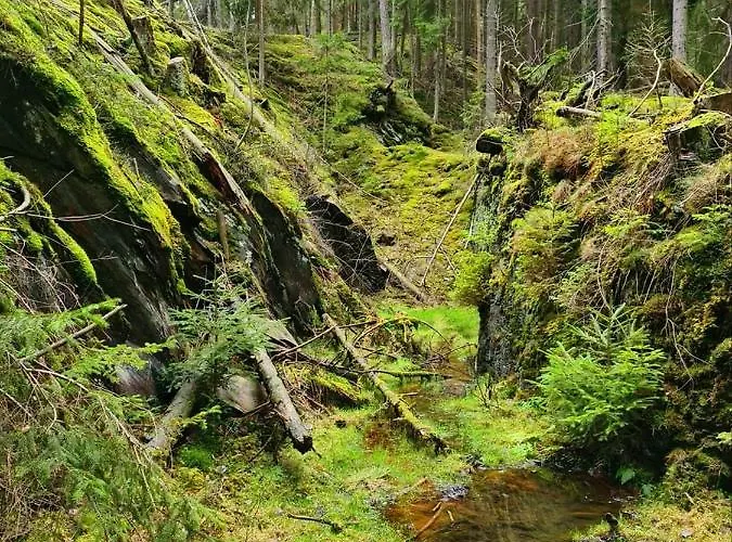Schwarzatalblick In Ortsteil Boehlscheiben