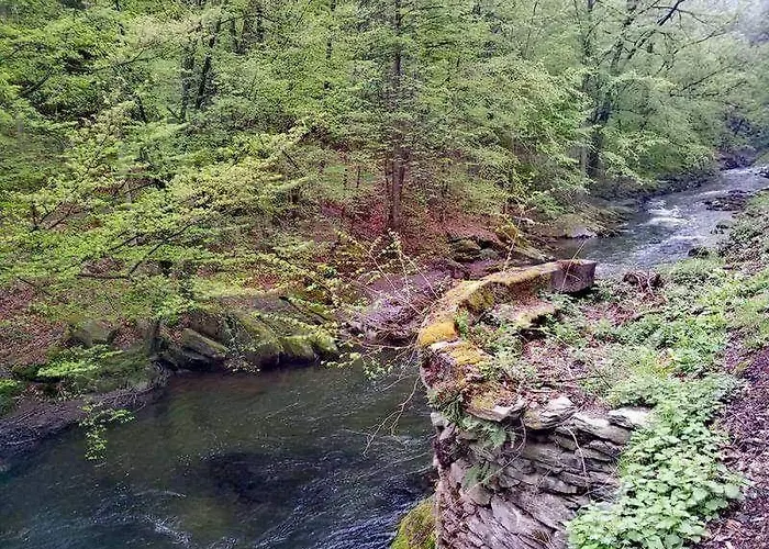 Schwarzatalblick In Ortsteil Boehlscheiben Tatil Evi *