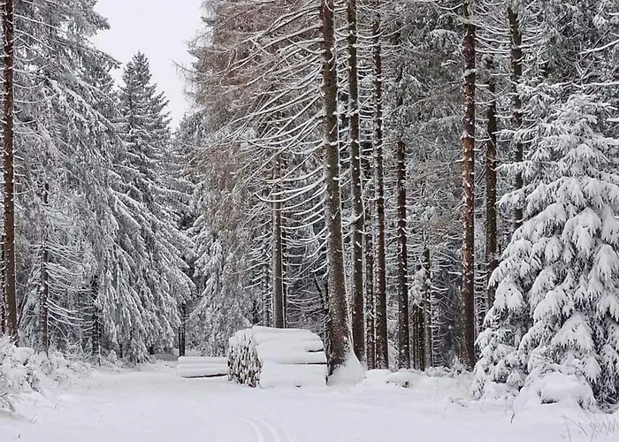 Schwarzatalblick In Ortsteil Boehlscheiben