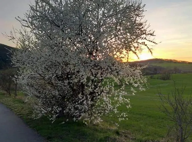 Schwarzatalblick In Ortsteil Boehlscheiben