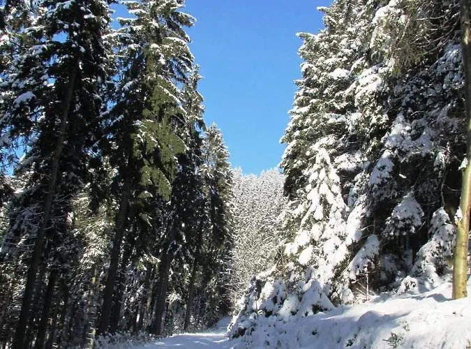 Schwarzatalblick In Ortsteil Boehlscheiben *