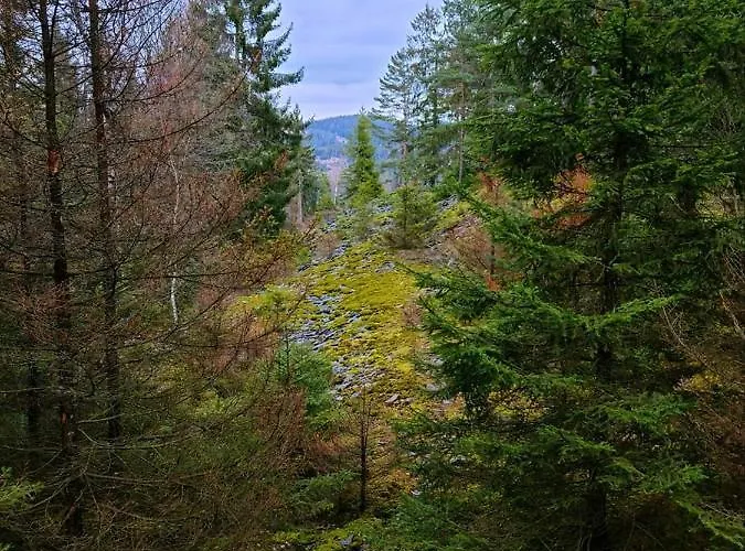 Schwarzatalblick In Ortsteil Boehlscheiben * Bad Blankenburg