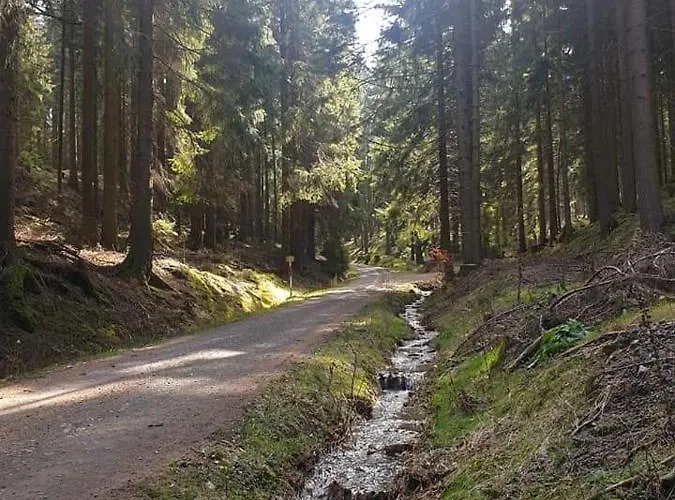 Schwarzatalblick In Ortsteil Boehlscheiben Дом отдыха Бад-Бланкенбург