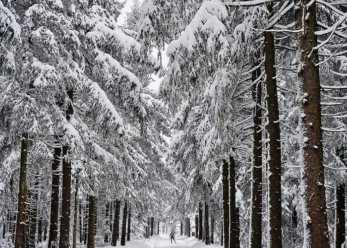 Schwarzatalblick In Ortsteil Boehlscheiben * Бад-Бланкенбург