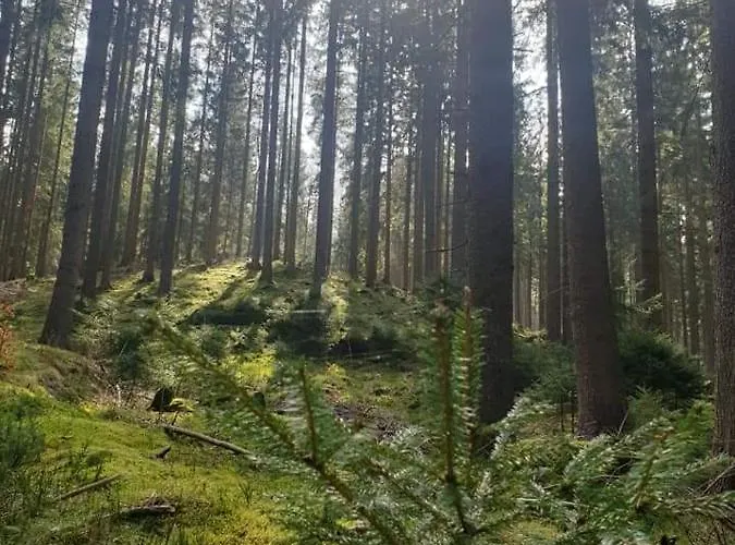 Schwarzatalblick In Ortsteil Boehlscheiben Дом отдыха *