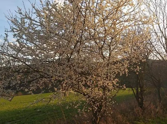 Дом отдыха Schwarzatalblick In Ortsteil Boehlscheiben