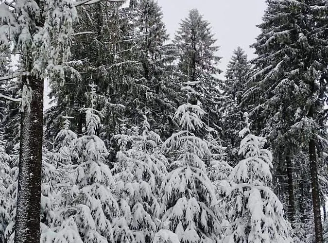 Schwarzatalblick In Ortsteil Boehlscheiben * Bad Blankenburg