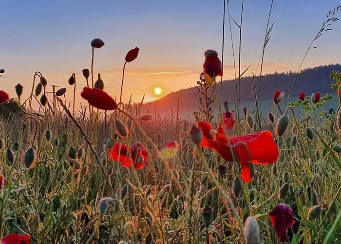 Schwarzatalblick In Ortsteil Boehlscheiben Σπίτι διακοπών *
