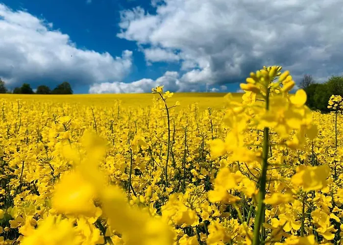 Дом отдыха Schwarzatalblick In Ortsteil Boehlscheiben Бад-Бланкенбург