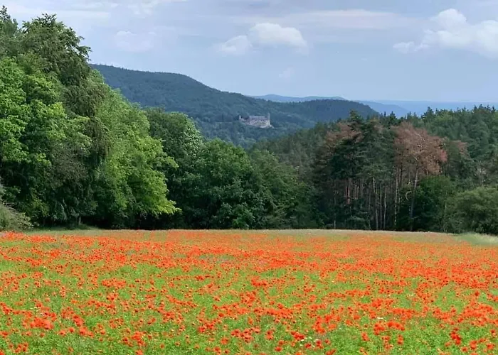Schwarzatalblick In Ortsteil Boehlscheiben Дом отдыха