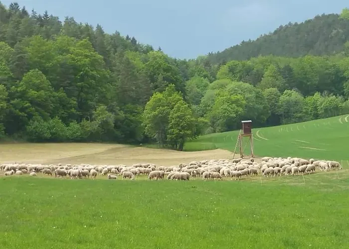 Schwarzatalblick In Ortsteil Boehlscheiben *