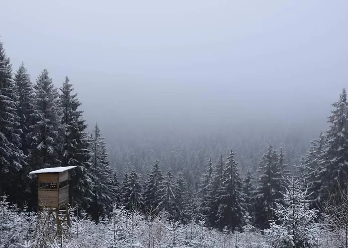 Schwarzatalblick In Ortsteil Boehlscheiben Дом отдыха Бад-Бланкенбург