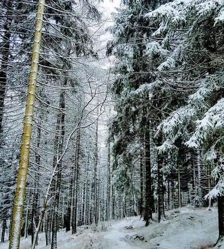 Tatil Evi Schwarzatalblick In Ortsteil Boehlscheiben