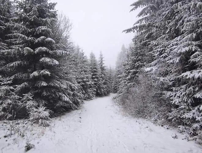 Schwarzatalblick In Ortsteil Boehlscheiben Дом отдыха *