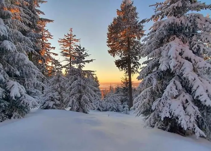 Schwarzatalblick In Ortsteil Boehlscheiben Дом отдыха