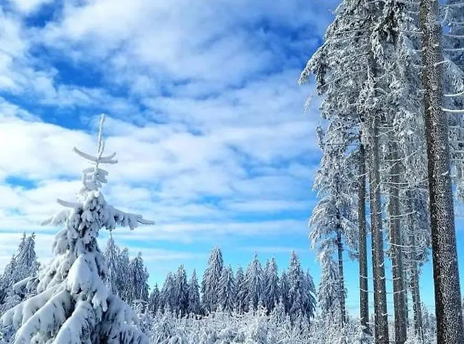 Σπίτι διακοπών Schwarzatalblick In Ortsteil Boehlscheiben *