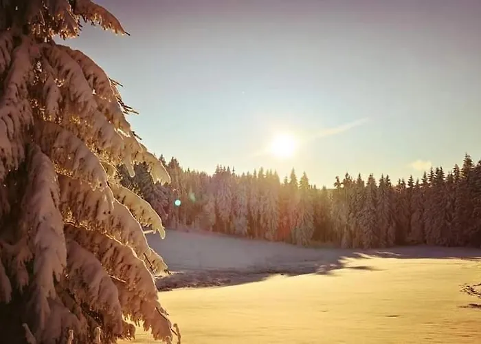 Schwarzatalblick In Ortsteil Boehlscheiben Tatil Evi *
