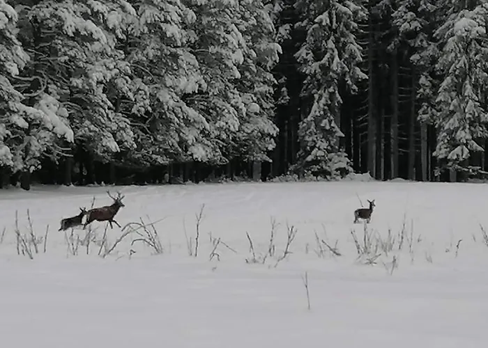 Schwarzatalblick In Ortsteil Boehlscheiben Бад-Бланкенбург